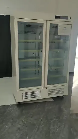 Large Capacity 668 L 2-8 Degree Medical Lab Pharmacy Refrigerator with Double -Layer Tempered Glass